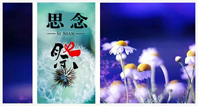 清明表思念  網(wǎng)上祭英烈